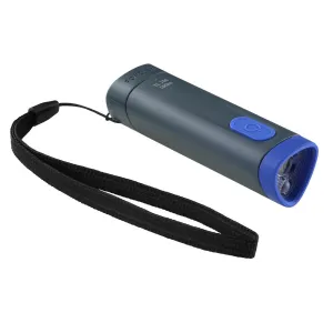 Battery Torchlight 100 Lumens - TL100